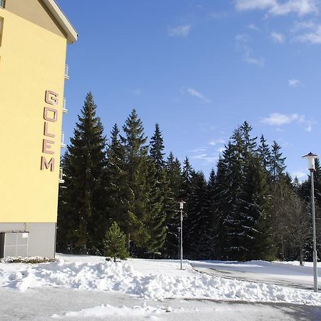 Апартаменты Golem Татранска-Штрба Номер фото